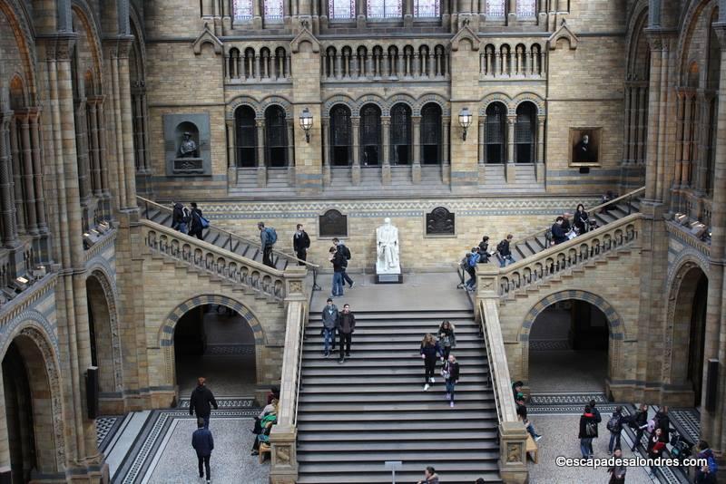 tarif musée histoire naturelle londres