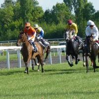 Royal Ascot Horse Racing