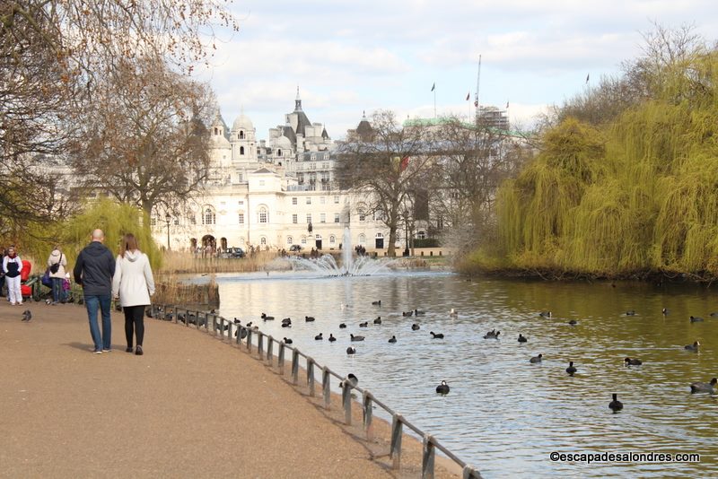 Le Royal Saint James's Park à Londres