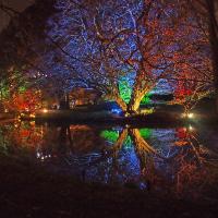 Syon park©Mike_fleming