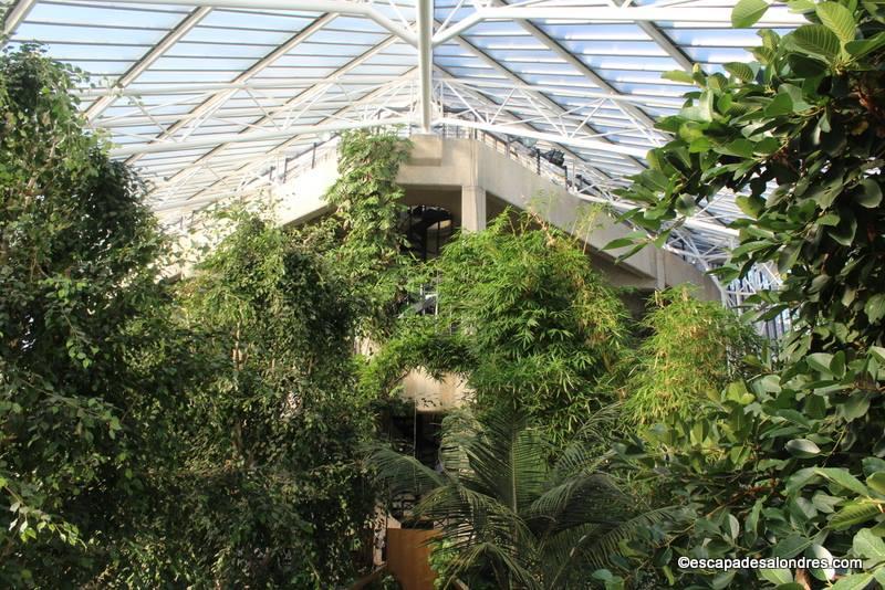 Barbican Conservatory London