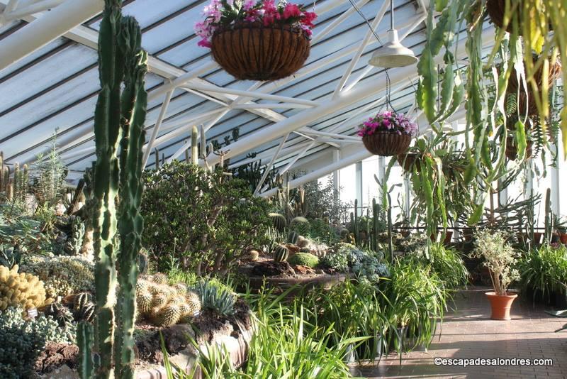 Barbican Conservatory London