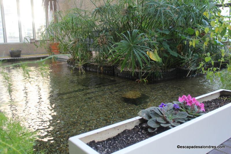 Barbican Conservatory London