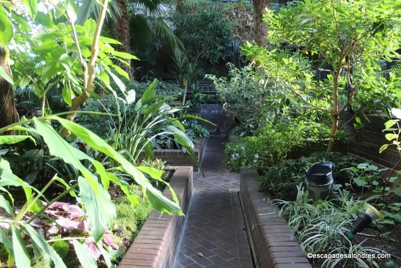 Barbican Conservatory London