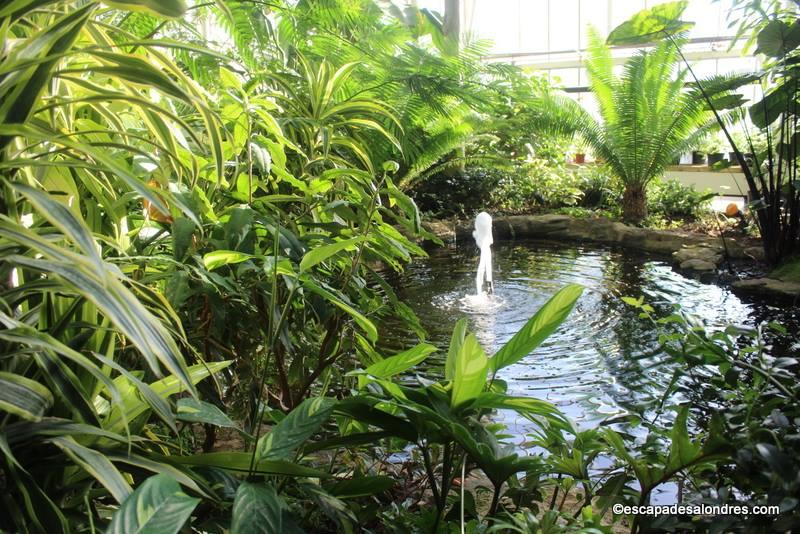 Barbican Conservatory London