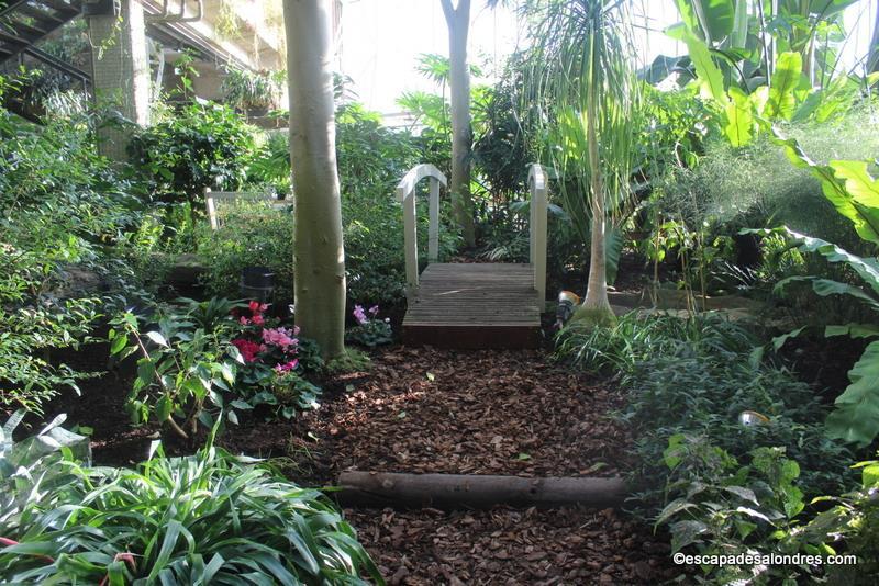 Barbican Conservatory London