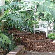 Barbican Conservatory London