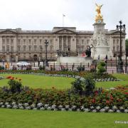 Buckingham palace