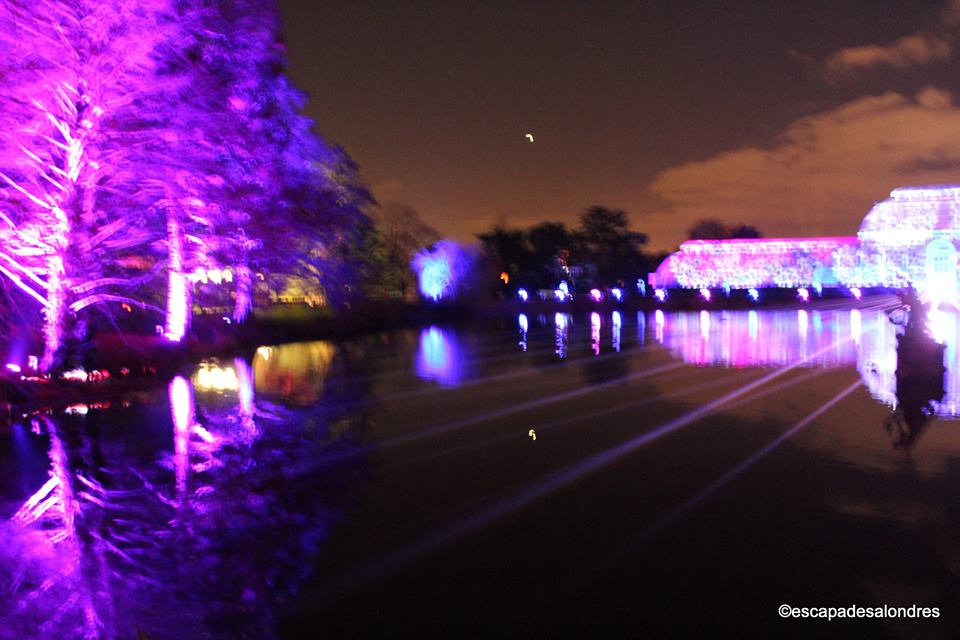 Christmas at Kew Gardens