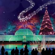 Christmas at Kew©Royal Kew