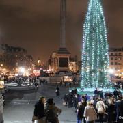Christmas tree trafalgar square