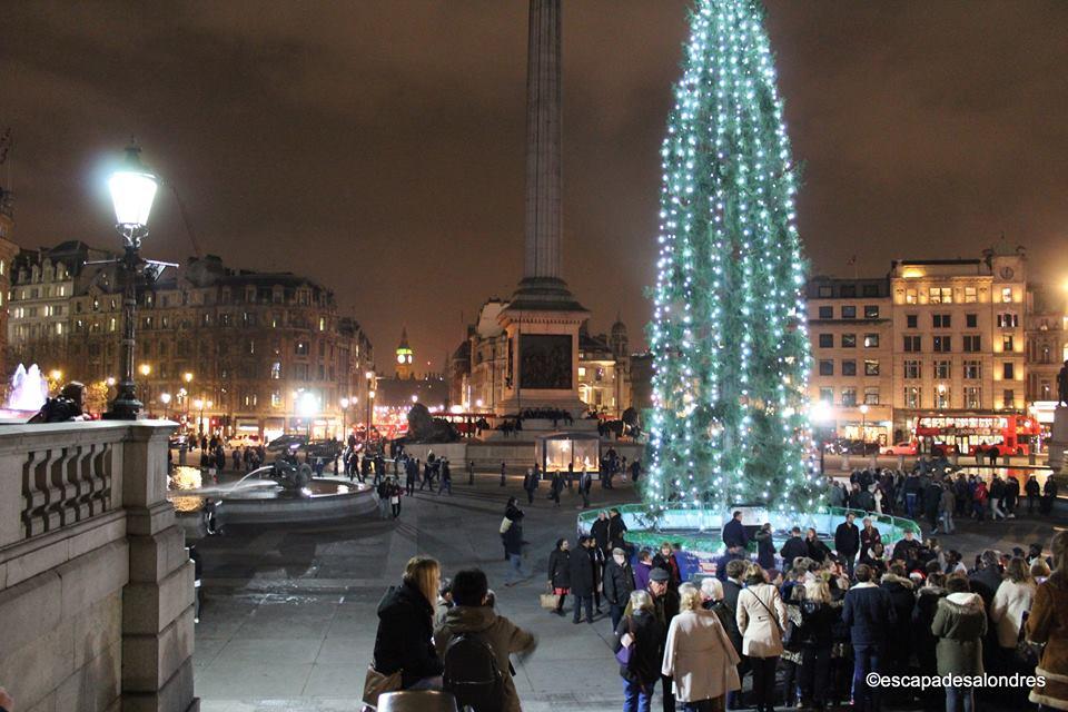 Christmas tree trafalgar square