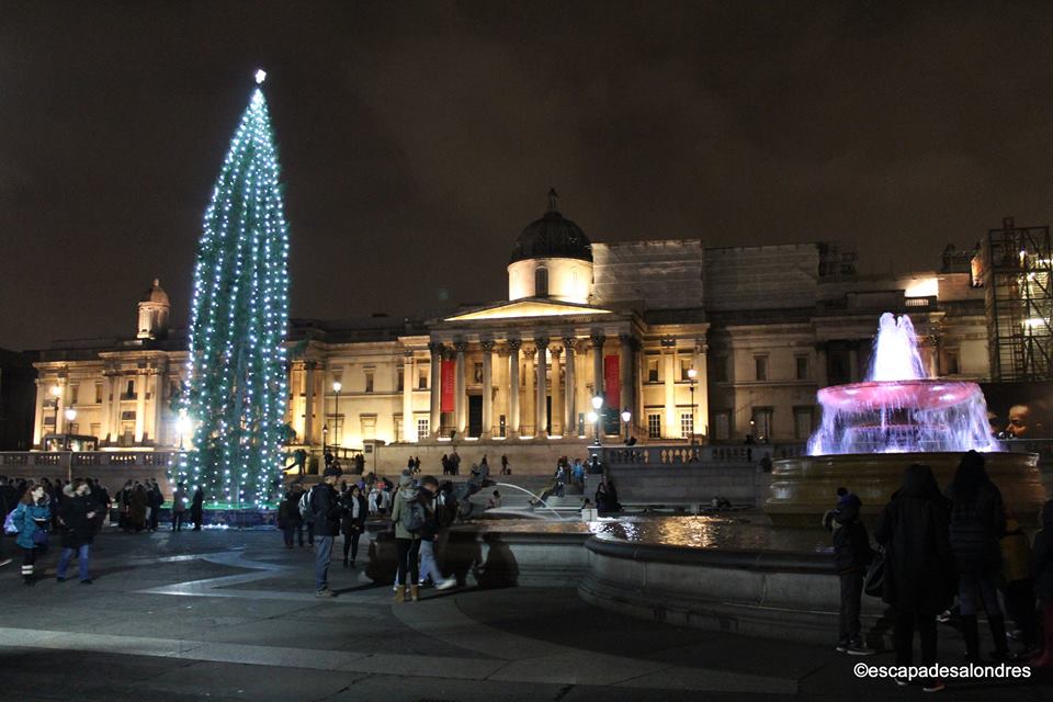 Christmas tree trafalgar square
