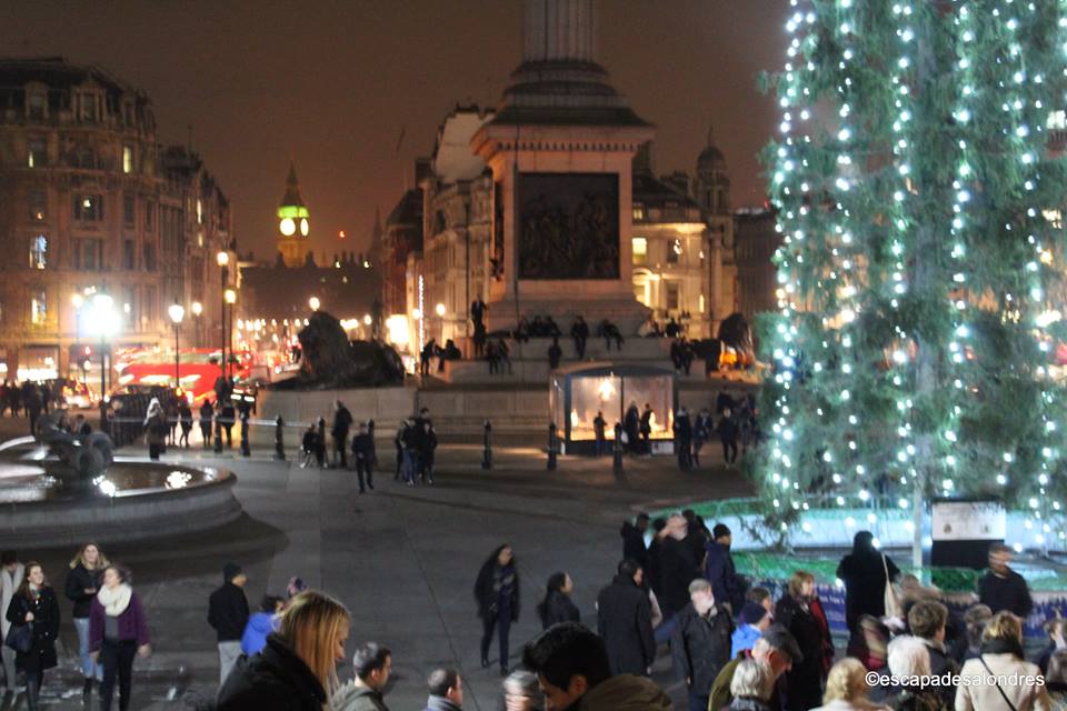 Christmas tree trafalgar square