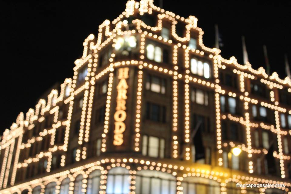 Christmas windows harrods