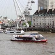 City cruises croisieres1 n 1