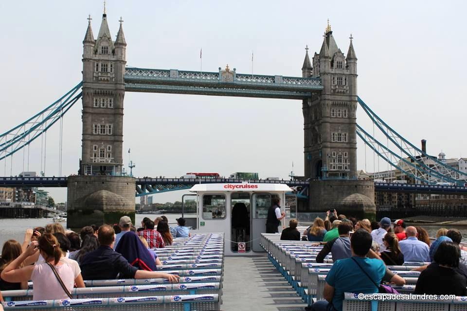 City Cruise croisière tamise