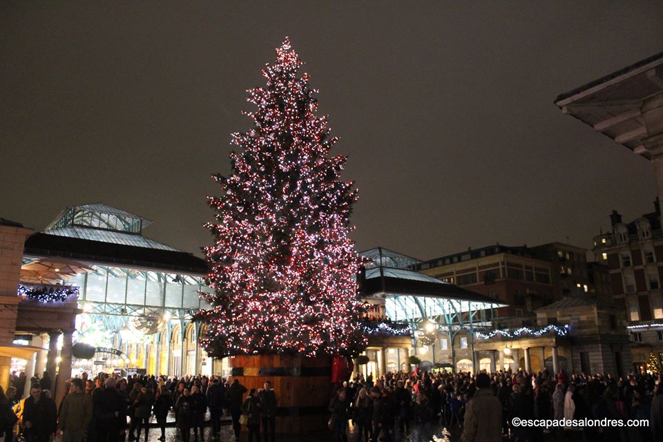 Covent garden christmas tree