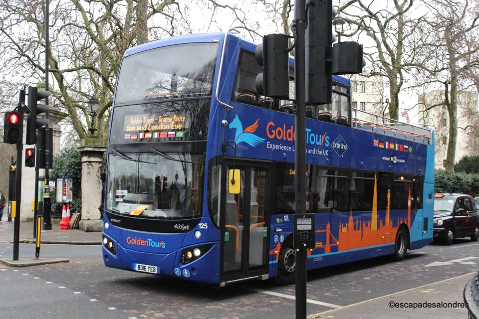Golden Tour Bus London