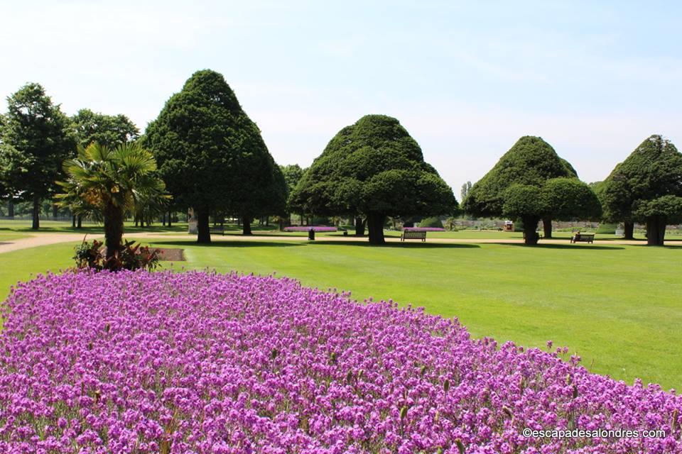 Hampton court palace gardens