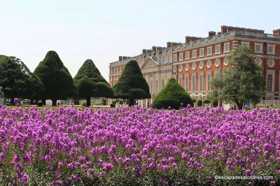 Hampton court palace gardens