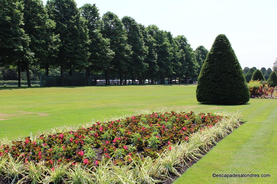 Hampton court palace gardens