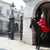 Horse Guards Parade