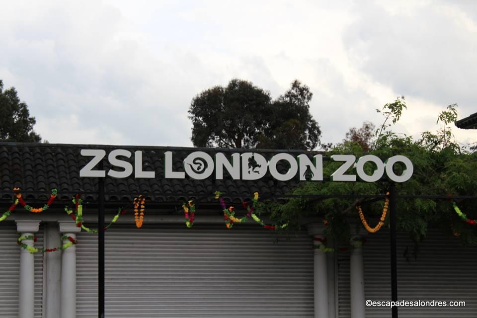 London zoo