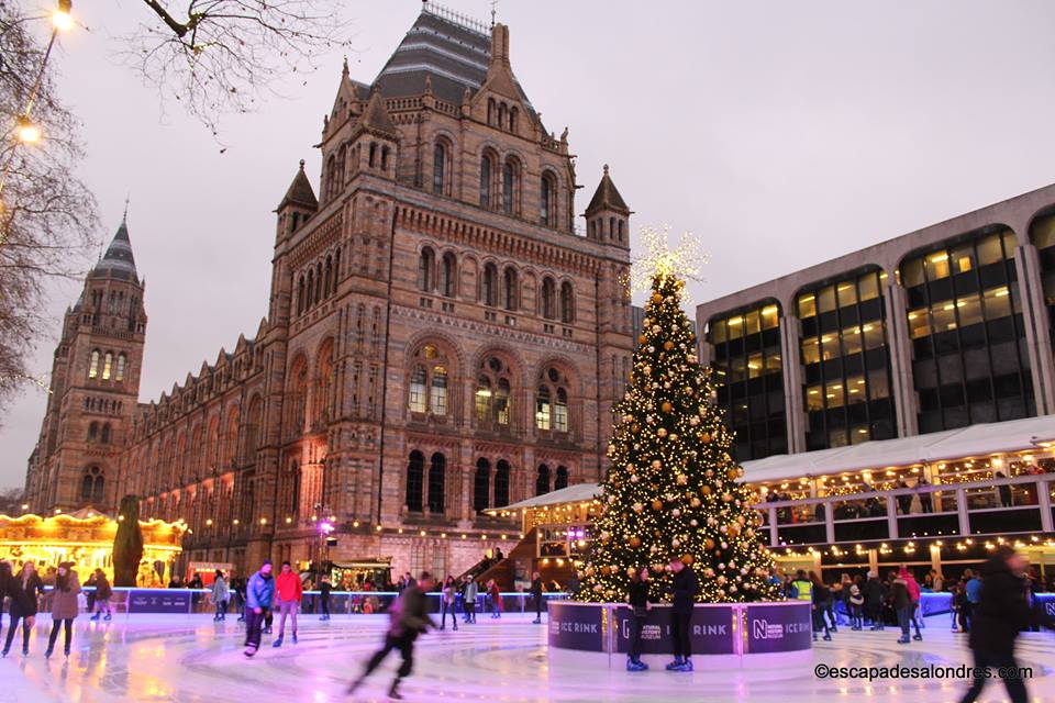 Natural history museum christmas tree