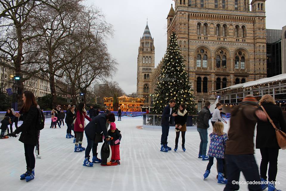 Natural history museum Ice Rink