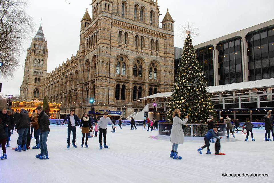 Natural history museum Ice Rink