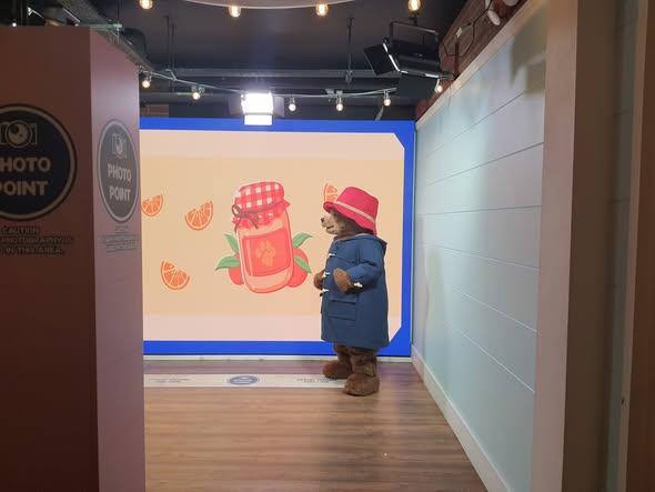 Paddington bear experience day