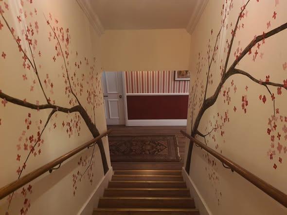 Paddington bear experience home