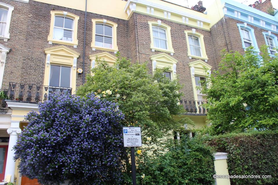 Primrose Hill Houses