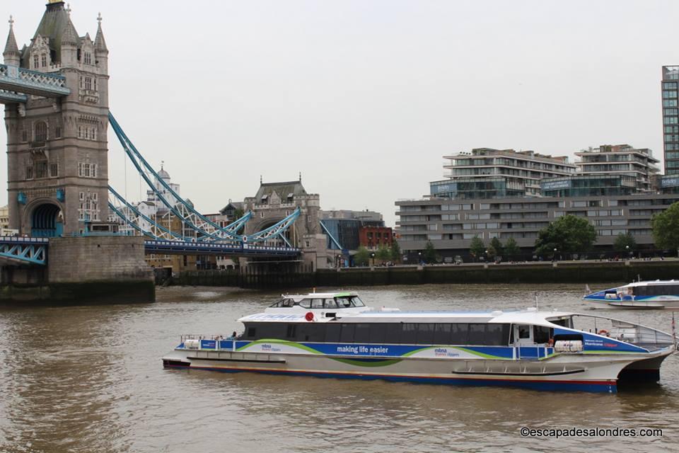 River bus thames clipper