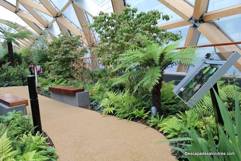 Roof Garden Crossrail Place