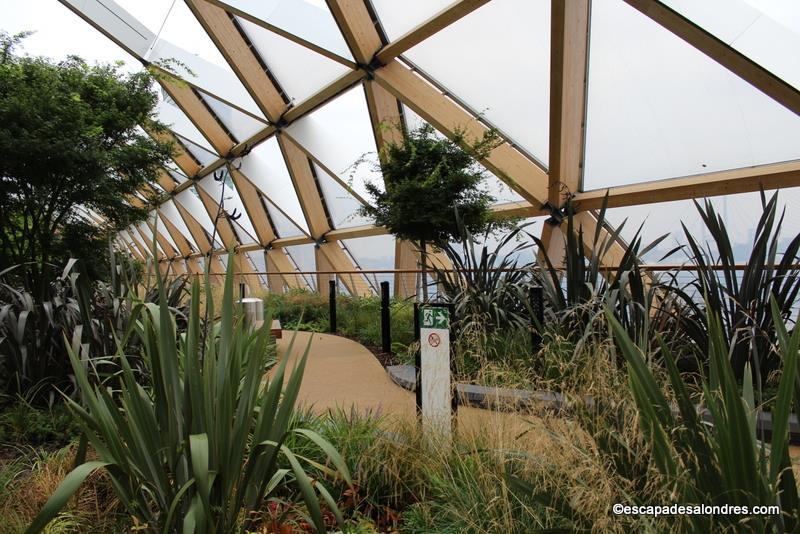 Roof Garden Crossrail Place