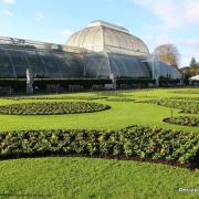 Royal Kew Gardens