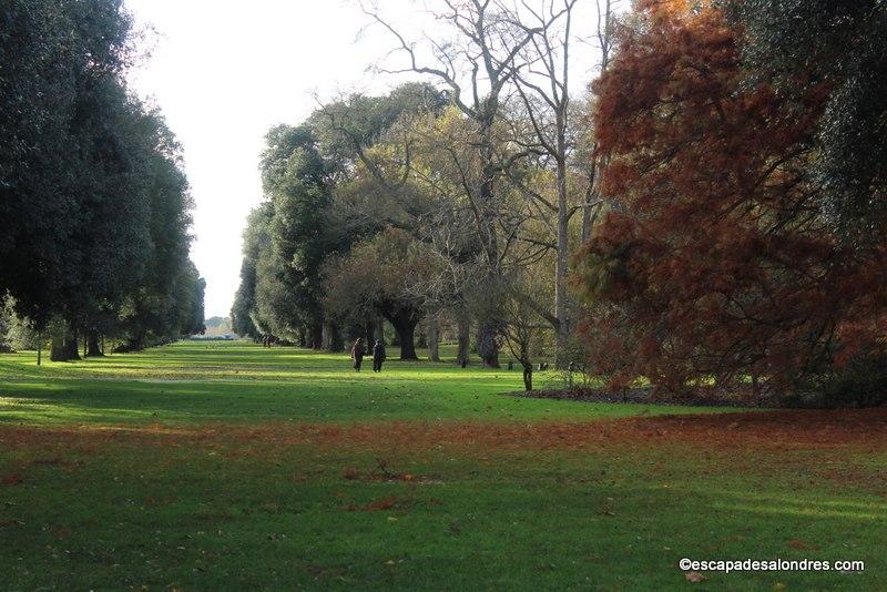 Royal Kew Gardens