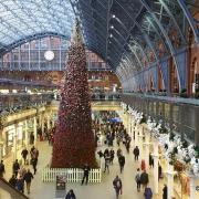 Saint pancras christmas tree