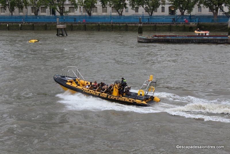 Speed Boat Experience