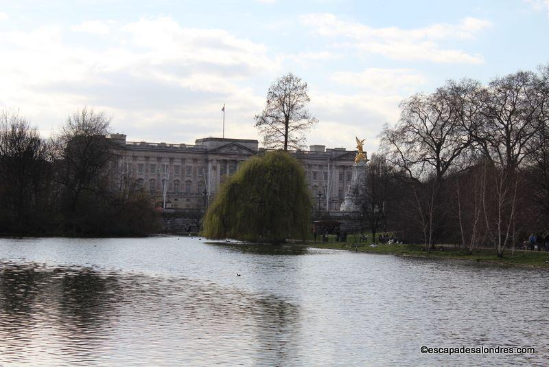 St james park