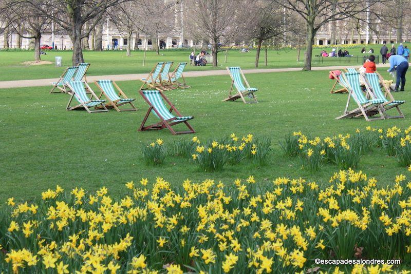 St james park