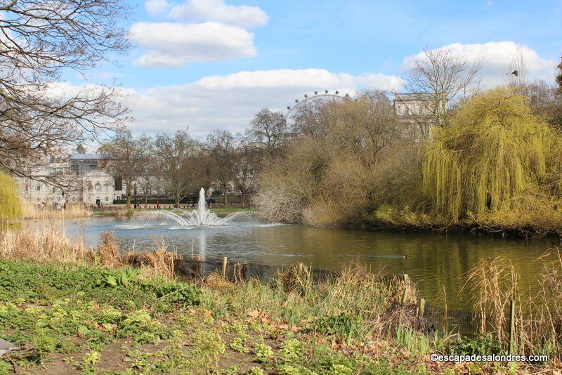 St james park