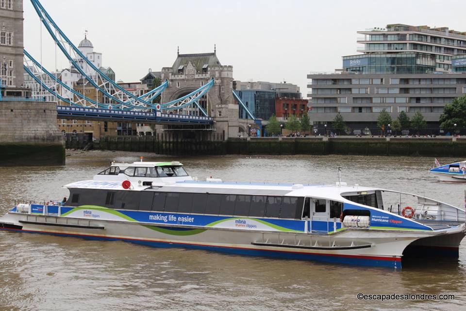 Thames clippers river bus