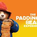 The paddington bear experience
