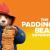 The paddington bear experience