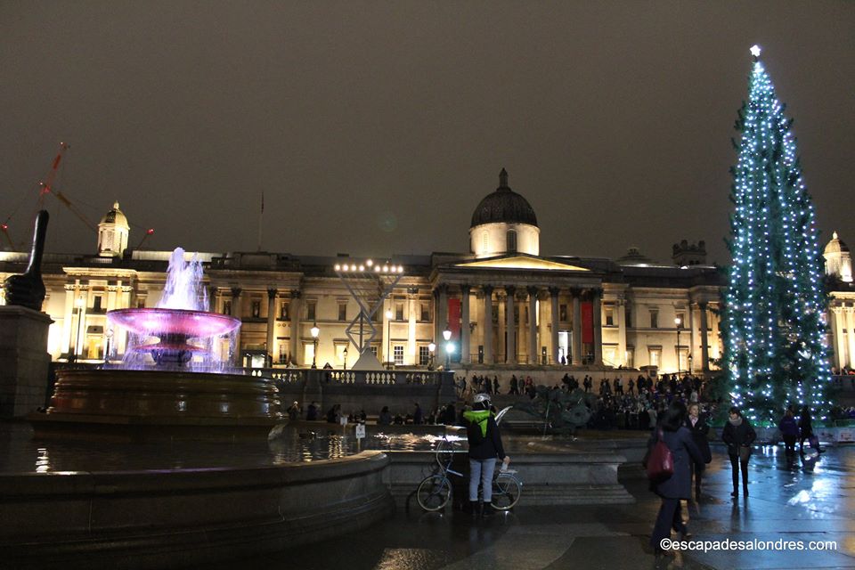 Trafalgar square christmas tree