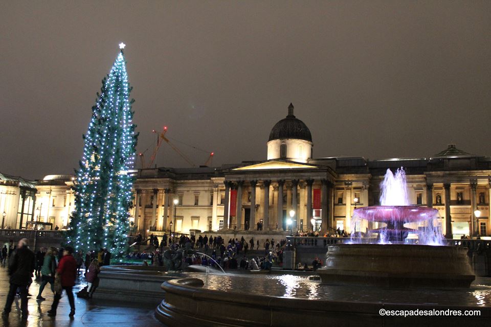 Trafalgar square christmas tree