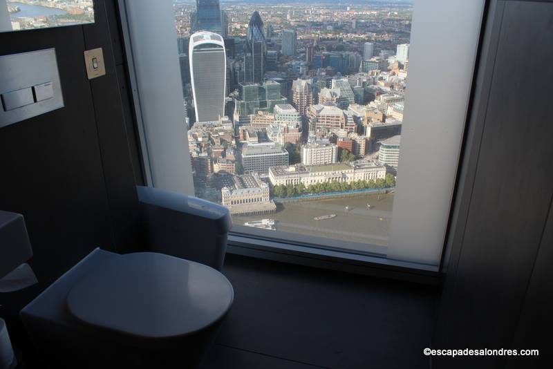 The View from The Shard